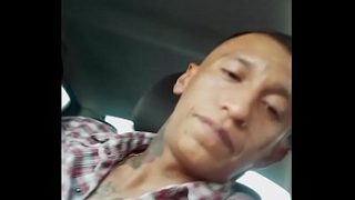 Unas mamadas en el carro